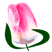 024