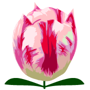 025