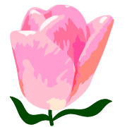 026
