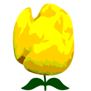 029