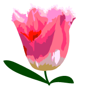 032