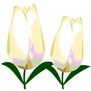 034