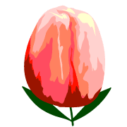 036