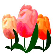 039