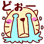 019