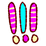 013