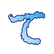 019