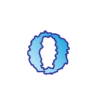 202