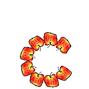 029