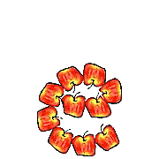 031