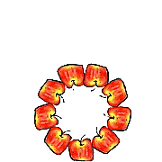 041