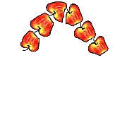 070