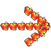 101