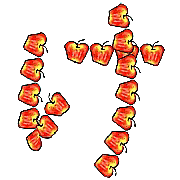 009