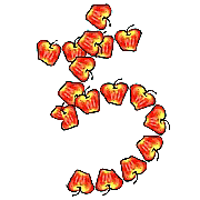 017