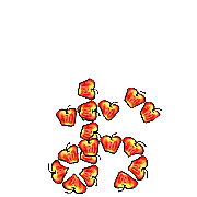 051