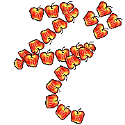 065