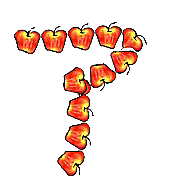 081
