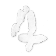 013
