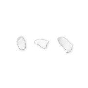 031