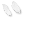 039