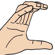 009