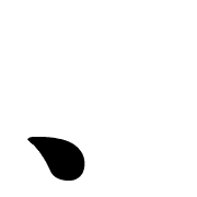 256