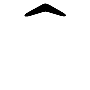 231