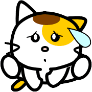 031