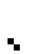 256
