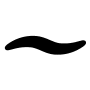 224