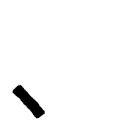 256