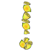 064