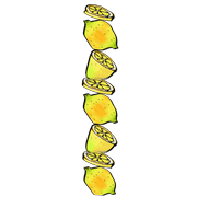 081