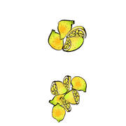 082