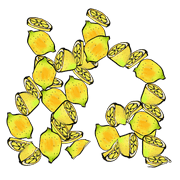 023