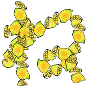 024