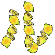 121