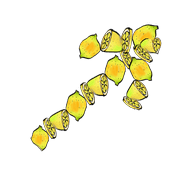 177