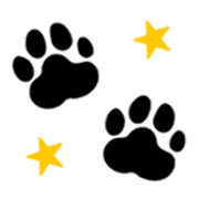 037