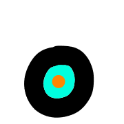 041