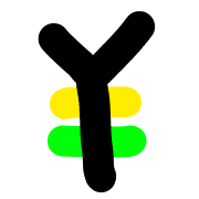 091