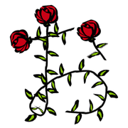 005
