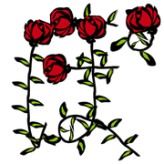 080