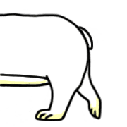 004
