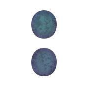 244