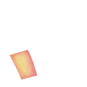 256
