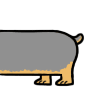 010