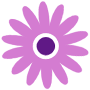 029