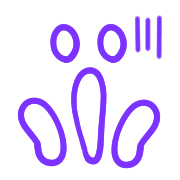 006